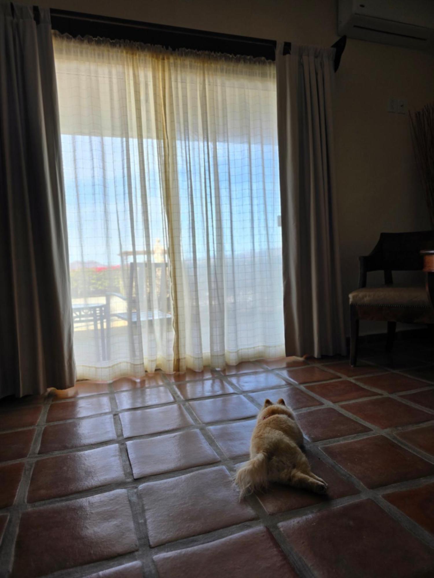 Hacienda Guadalupe Hotel Luaran gambar