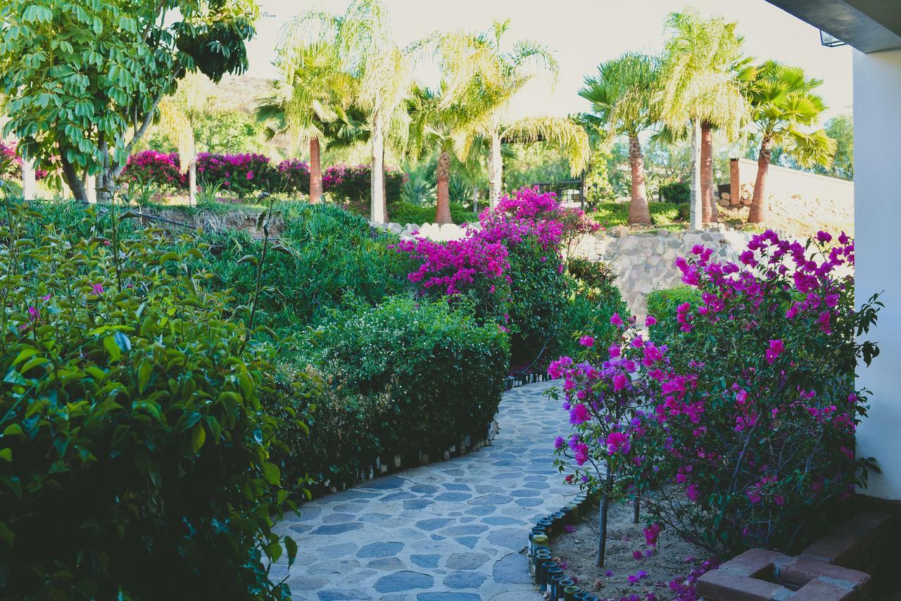 Hacienda Guadalupe Hotel Luaran gambar